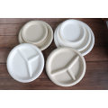 Eco - Friendly Sugarcane Disposable Plates Paper Lunch Tray